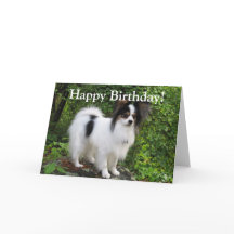 Carte de voeux d'anniversaire ou de Papillon