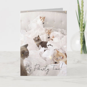 Carte de voeux d'anniversaire pour chat mignonne