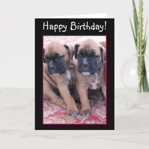 Carte de vœux d'anniversaire pour chiots Boxer