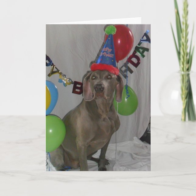 Carte de voeux d'anniversaire Weimaraner (Devant)