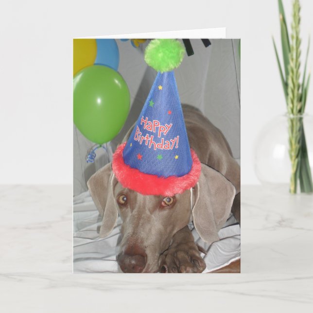 Carte de voeux d'anniversaire Weimaraner (Devant)