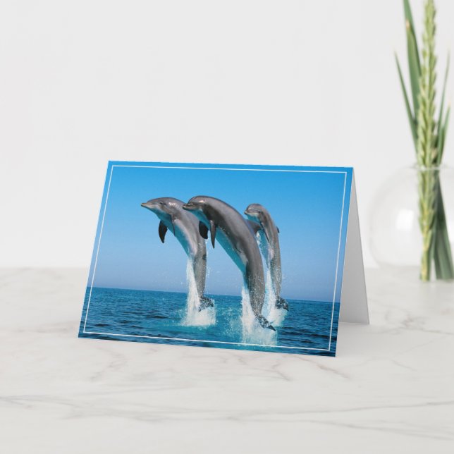 Carte de vœux dauphins (Devant)