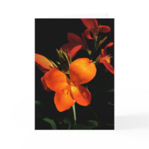 Carte de voeux Dazzling Orchid