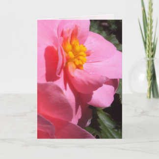 Carte de voeux de Begonia Tuberous Rose