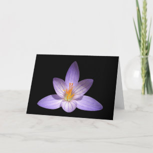 Carte de voeux de blanc de fleur de zen
