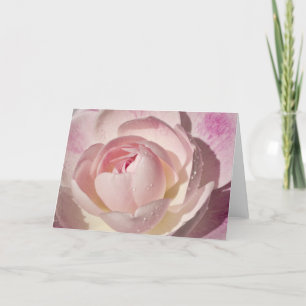 Carte de voeux de blanc de rose de rose