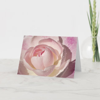 Carte de voeux de blanc de rose de rose