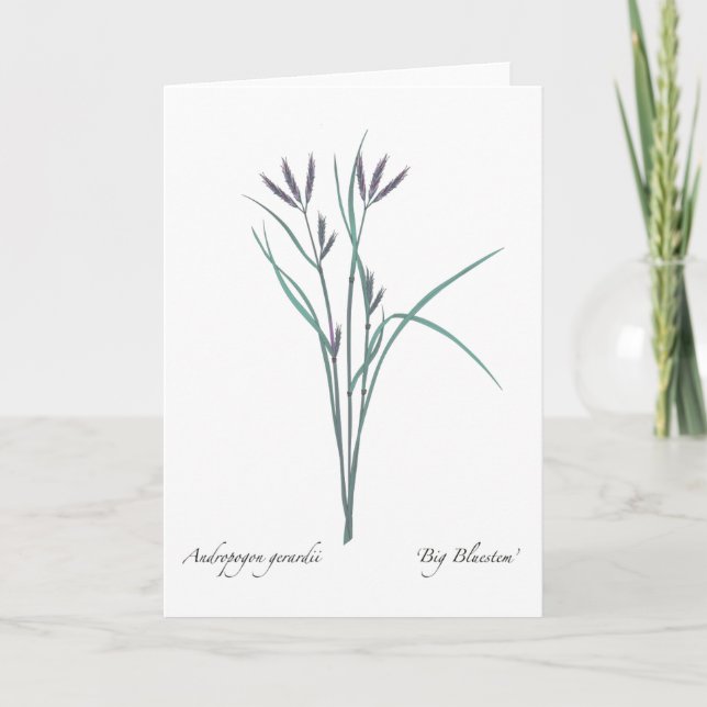 Carte de voeux de blanc de vetiver (Devant)
