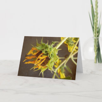 Carte de voeux de blanc du cycle de l'été