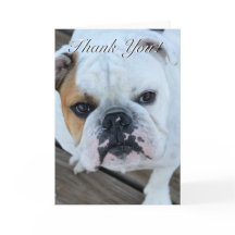 Carte de voeux de bouledogue de Merci