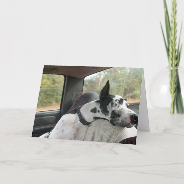 Carte de voeux de bouteur (Devant)