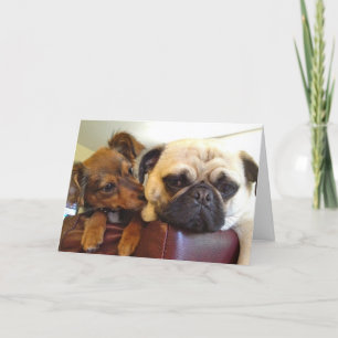 Carte de voeux de Bumblesnot : Je suis ici si vous