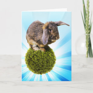 Carte de voeux de BunnyLuv comportant Twink