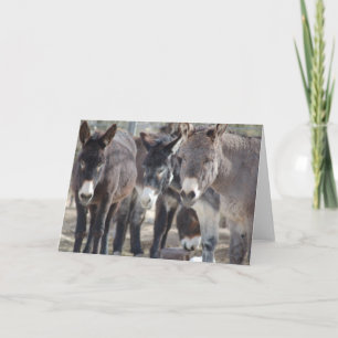 Carte de voeux de Burro