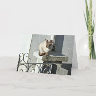 Carte de voeux de chat