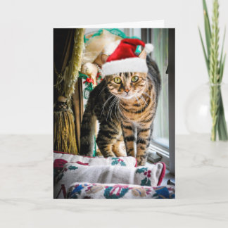 Carte de voeux de chat de vacances