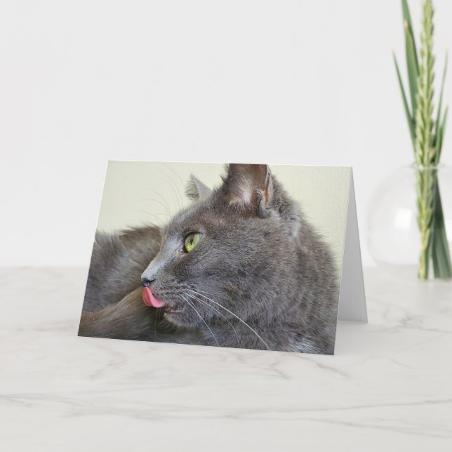 Carte de voeux de chat gris (Devant)
