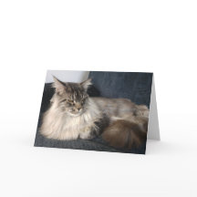 Carte de voeux de chat Maine Coon