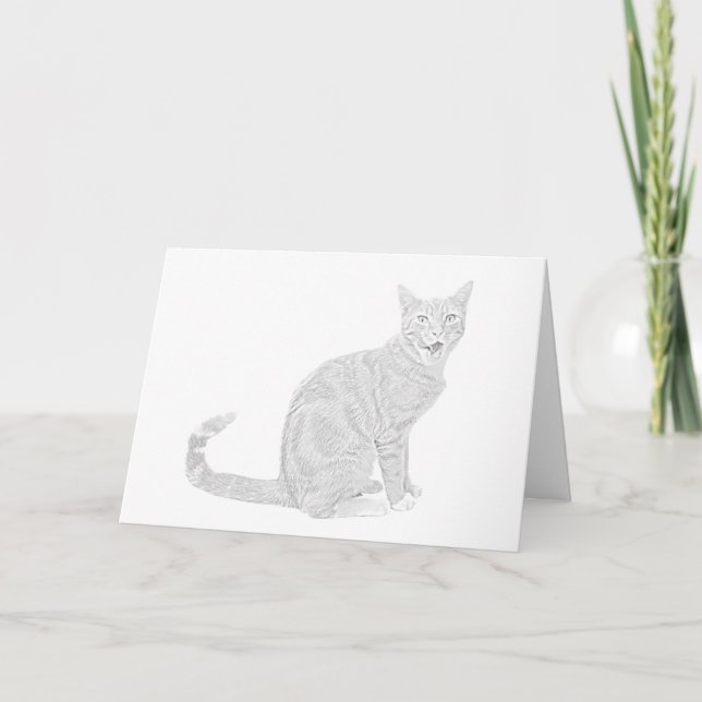 Carte de voeux de chat Tabby Dessin au crayon (Devant)