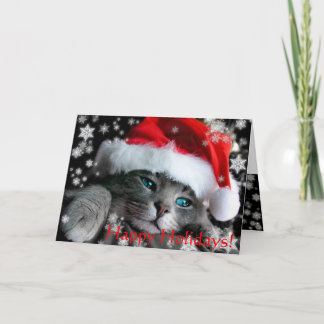 Carte de voeux de chaton de Père Noël