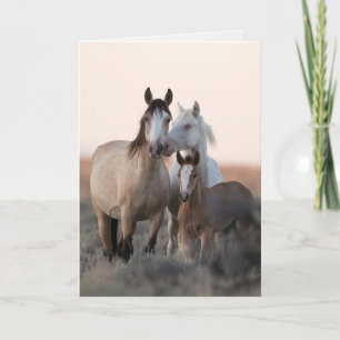 Carte de voeux de Cheval sauvage - Famille sauvage