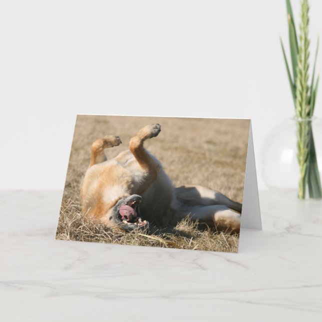 Carte de voeux de chien berger allemand (Devant)