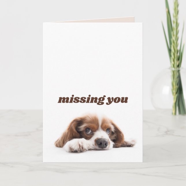 Carte de voeux de chien, Carte de voeux de chien m (Devant)