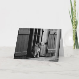 Carte de voeux de chien chanceux personnalisable