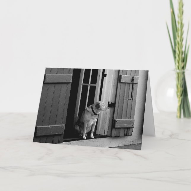 Carte de voeux de chien chanceux personnalisable (Devant)