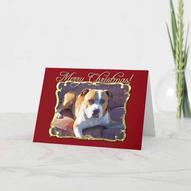Carte de voeux de chien de pitbull de Joyeux Noël (Devant)