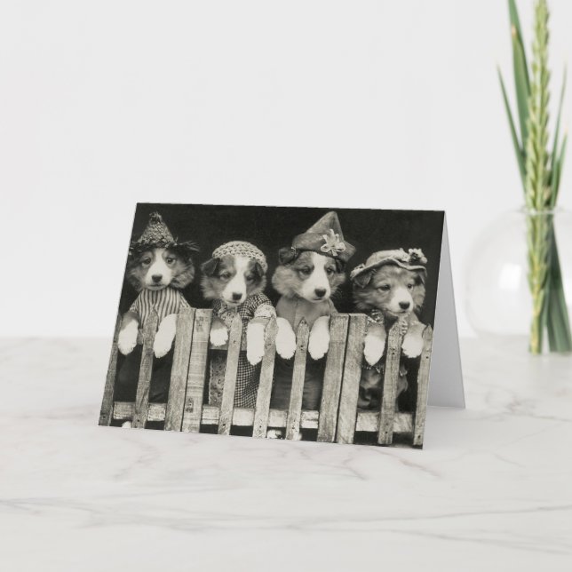 Carte de voeux de chien vintage (Devant)