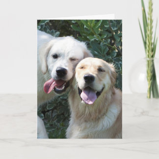 Carte de voeux de chiot de golden retriever