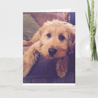 Carte de voeux de chiot de Goldendoodle