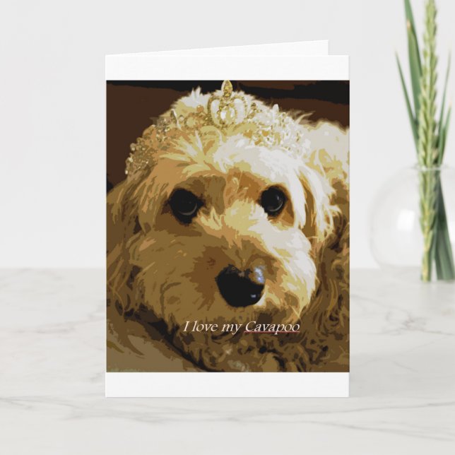 Carte de voeux de CobaltMoonDesign Cavapoo (Devant)