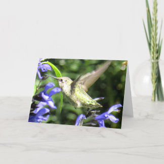 Carte de voeux de colibri