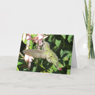 Carte de voeux de colibri