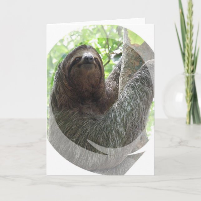 Carte de voeux de conception de photos Sloth (Devant)