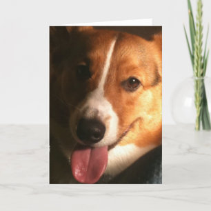 Carte de voeux de corgi de Gallois de cardigan