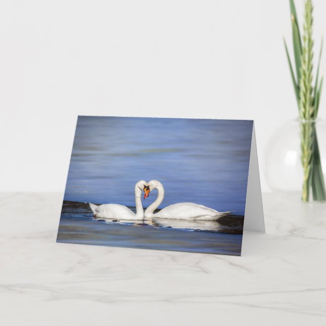 Carte de voeux de couples de cygne d'amour d'hiver (Devant)