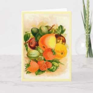 Carte de voeux de couverture du catalogue des seme