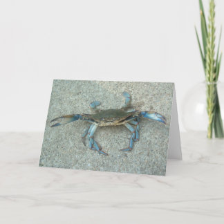 Carte de voeux de crabe bleu du Maryland
