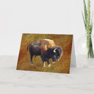 Carte de voeux de faune de Buffalo de bison
