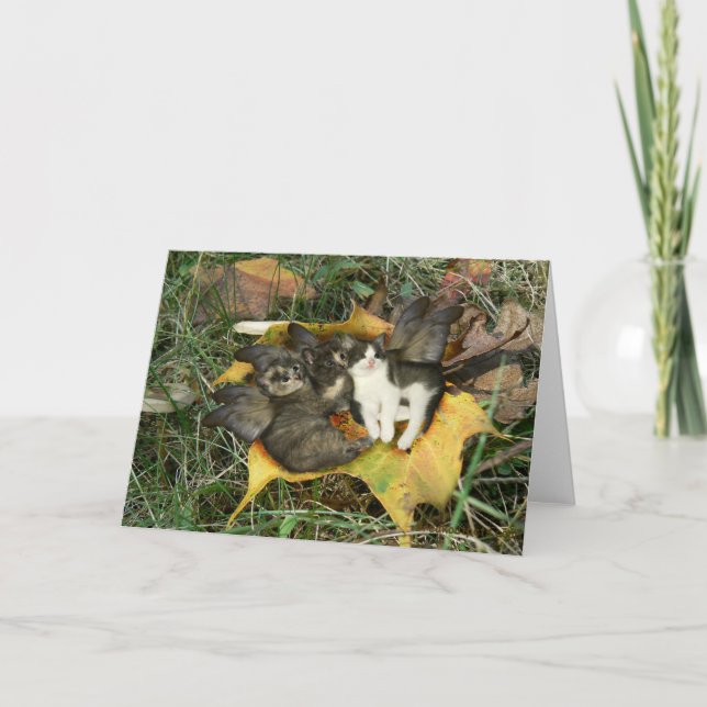 Carte de voeux de fées de chaton (Devant)