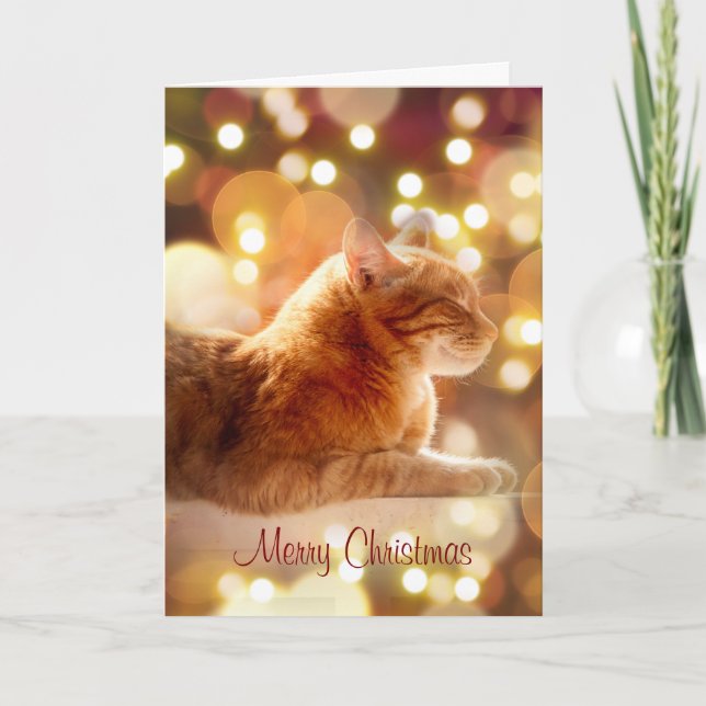 Carte de vœux de fêtes avec un chaton paisible et  (Devant)