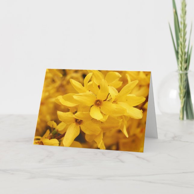 Carte de voeux de fleur de forsythia (Devant)