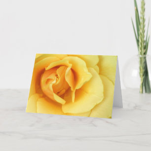 Carte de voeux de fleur de rose jaune