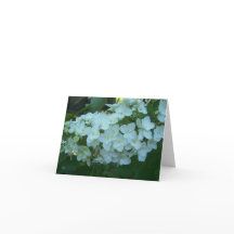 Carte de voeux de fleur d'hortensia de feuille de