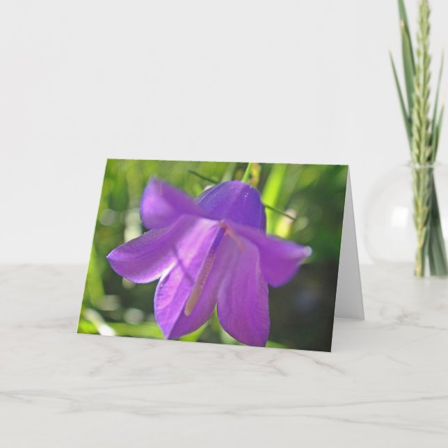 Carte de voeux de fleur violette (Devant)