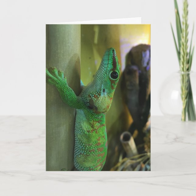 carte de voeux de gecko #2 (encouragement) (Devant)