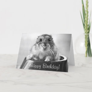 Carte de voeux de hamster, joyeux anniversaire